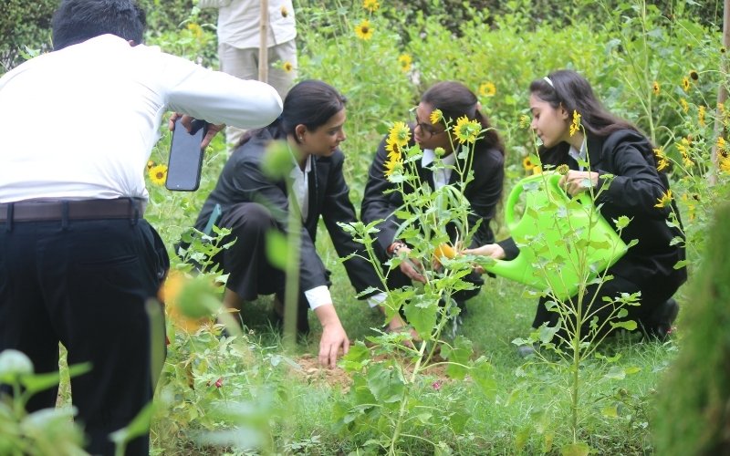 Plantation Drive